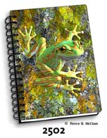 Bell Frog