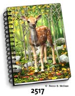 Fawn