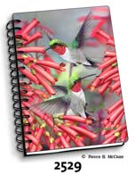 Hummingbirds