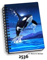 Leaping Orca