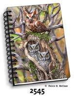 Owls