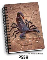 Scorpion
