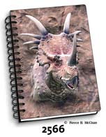 Styracosaurus