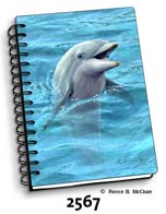 Talking Dolphin