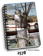 Wharf Cat