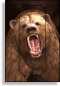 Preview: 3D Grußkarte Grizzly