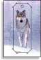 Preview: 3D Grußkarte Schneewolf