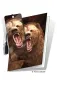 Preview: 3D Grußkarte Grizzly