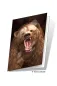 Preview: 3D Grußkarte Grizzly