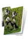Preview: 3D Grußkarte Pandas