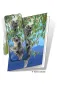 Preview: 3D Grußkarte Koalas