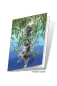 Preview: 3D Grußkarte Koalas