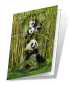 Preview: 3D Grußkarte Pandas