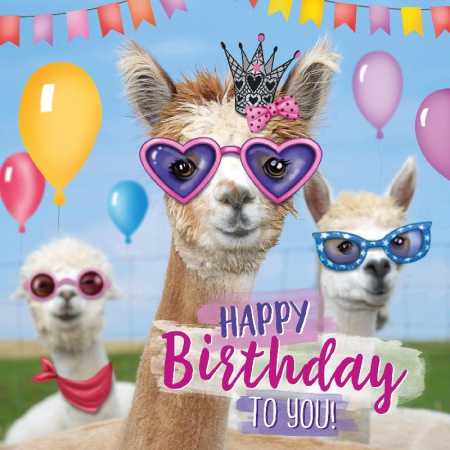Happy Birthday to you!