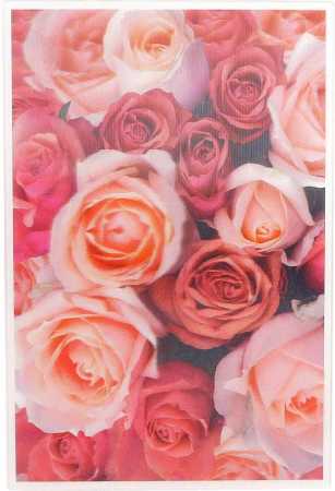 ohne Text - Rosen