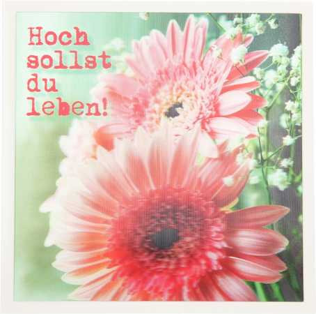 Hoch sollst du leben!