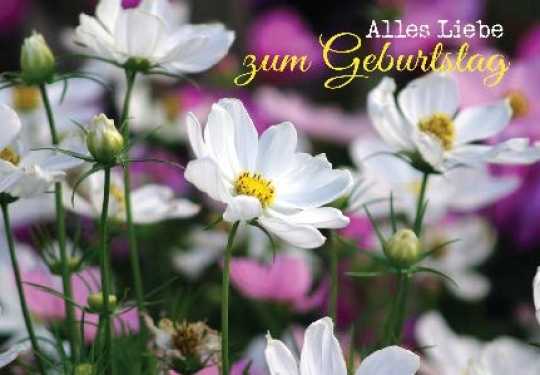 Alles Liebe zum Geburtstag