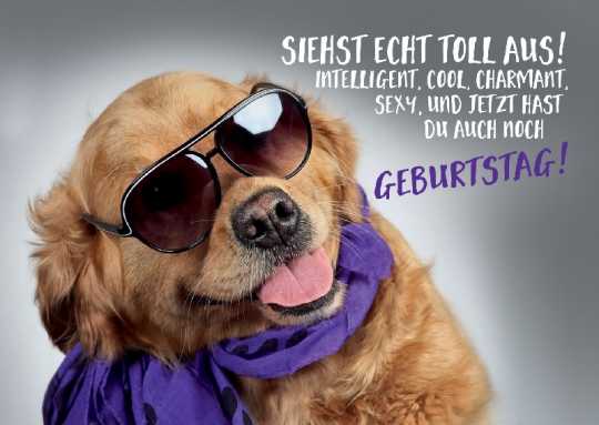 Siehst echt toll aus! Intelligent...