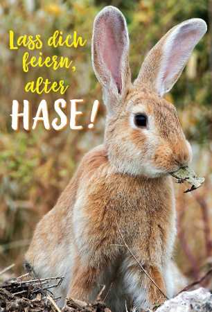 Lass dich feiern, alter HASE!