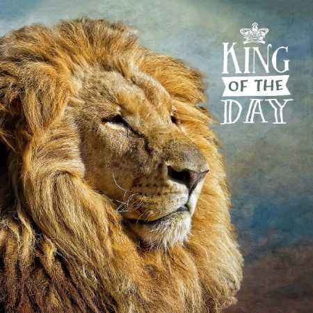 KING OF THE DAY