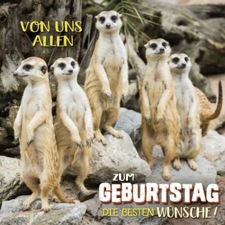 Von uns allen zum Geburtstag die besten Wünsche!