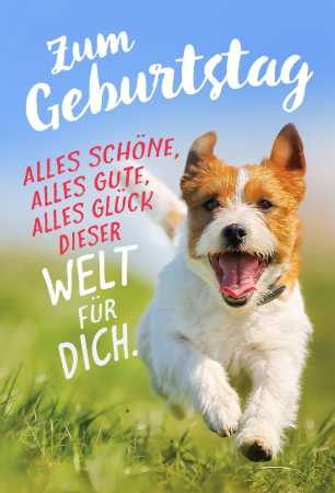 Zum Geburtstag Alles Schöne, Alles Gute