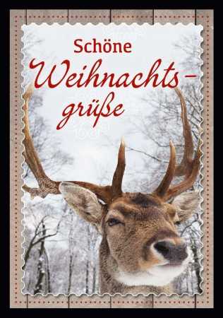 Schöne Weihnschtsgrüße