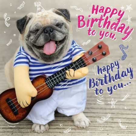 Happy Birthday to you, happy Birthday...