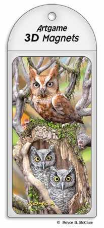 3D Magnet Eulen