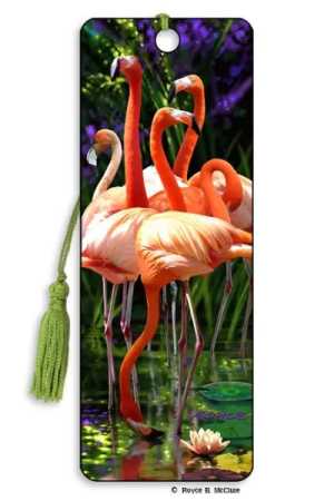 Flamingos