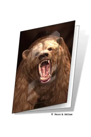 3D Grußkarte Grizzly