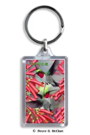 Schlüsselanhänger Kolibris