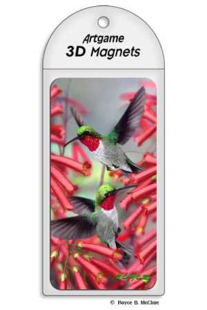 3D Magnet Kolibris