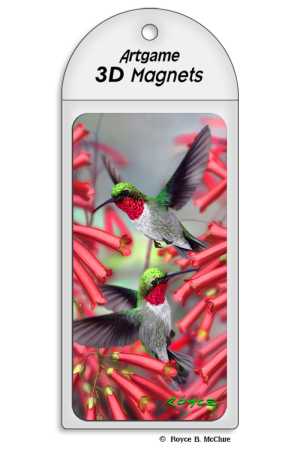 3D Magnet Kolibris