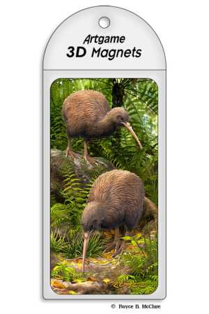 3D Magnet Kiwi