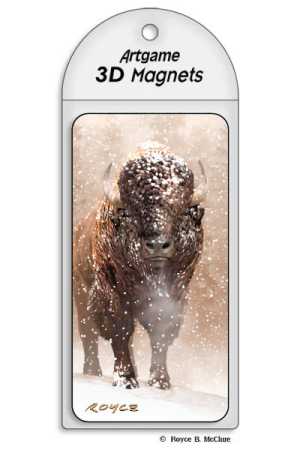 3D Magnet Bison