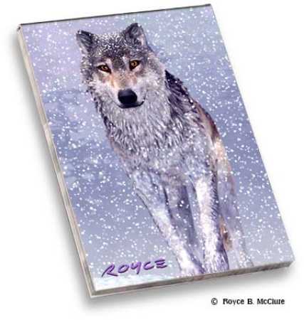 Memo Pad Schneewolf