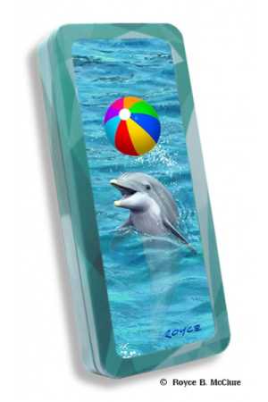 Stiftebox Beach Ball