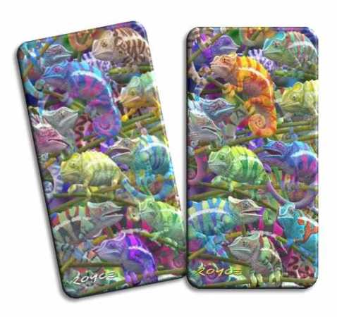 3D Magnet Chamäleons