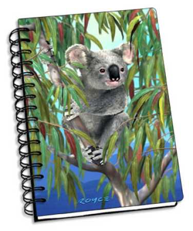 Koala