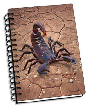 Skorpion