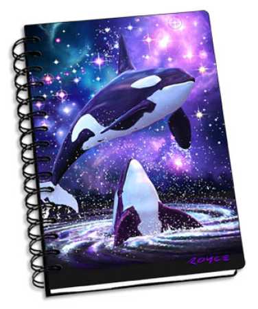 Space Orcas