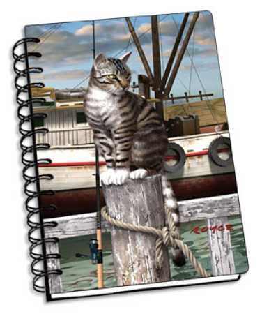Katze