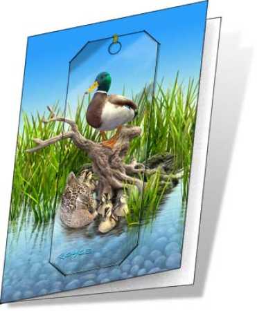 3D Grußkarte Enten