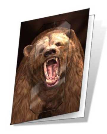 3D Grußkarte Grizzly