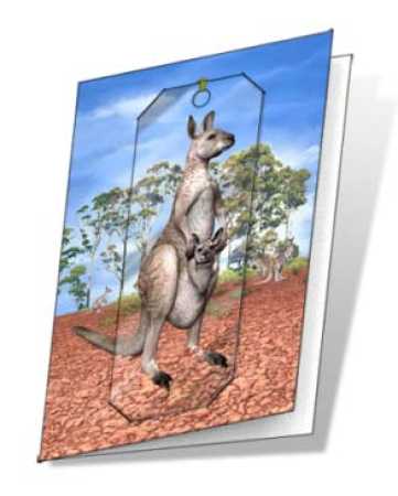 3D Grußkarte Känguru