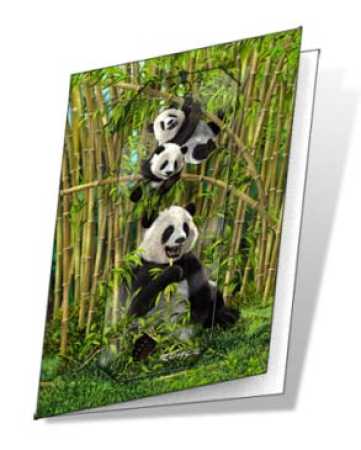 3D Grußkarte Pandas