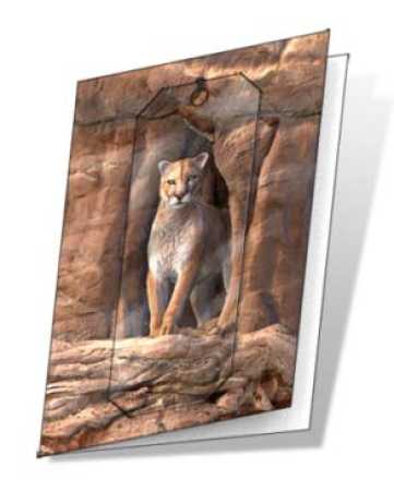 3D Grußkarte Puma