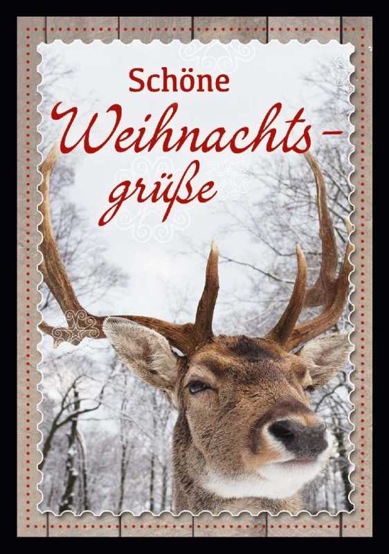 Schöne Weihnschtsgrüße