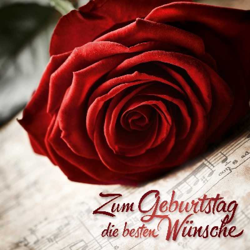 Zum Geburtstag die besten Wünsche